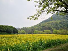 -八卦田遗址公园