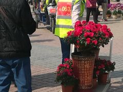 -珠海市体育中心-游泳馆