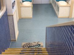 -戊辰亲子游泳俱乐部