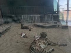 -鄂尔多斯野生动物园