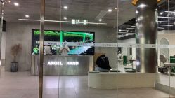-ANGELHAND