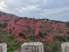 -木兰云雾山