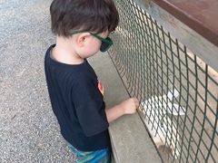 -前小桔亲子创意农场·草莓采摘·露营烧烤