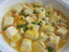 -云中小雅