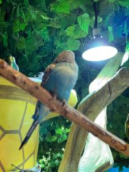 -酷嗒动物文化乐园(cutezoo西溪乐天城店)