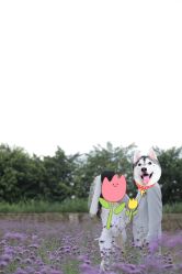 -金夫人婚纱摄影(华南店)