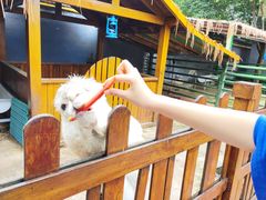 -瑞博尔花园酒店(太周创新产业园店)