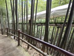 -藏龙百瀑风景区