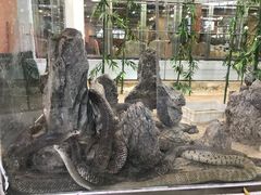 景观位-荔城生鲜盛宴(番禺旗舰店)