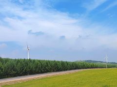 -塞罕坝国家级自然保护区