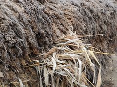 -梁家河村红色旅游区