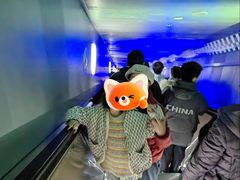 -白鹤梁水下博物馆