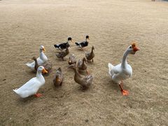 -黄兴公园