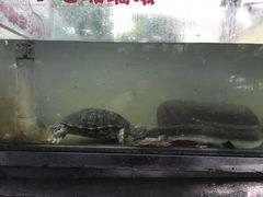 -东莞楼农家菜(金海湾大道分店)