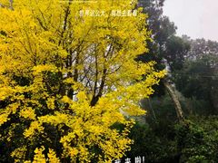 -金堂县云顶石城风景区