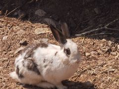 -碓臼峪自然风景区
