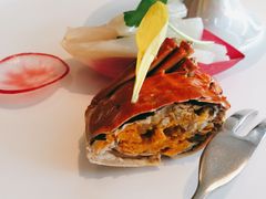 -松鹤楼·非遗·苏帮菜(融科店)