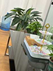 -苗医生专业祛痘·皮肤管理