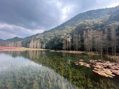 -广州市石门国家森林公园
