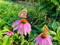 -沈阳森林动物园