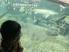 -南昌融创海世界