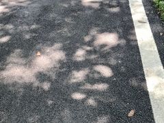 -广州雕塑公园