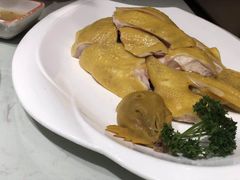 -南枝记