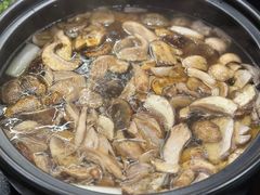 -滇野云南野生菌餐厅(陕西南路店)