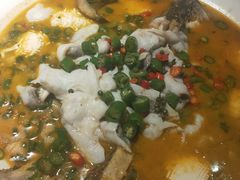 鲜椒豆花鲈鱼-川味堂·四川豆花(八卦岭店)