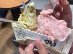 -野人先生现做冰淇淋(北京环宇荟店)