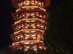 -洋湖国家湿地公园