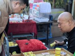 -中环花鸟鱼虫市场