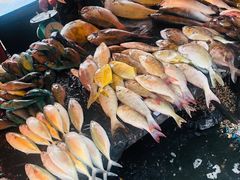 -仙本那小型鱼市