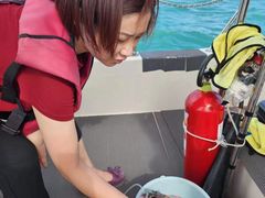 -小猫钓鱼海钓俱乐部(椰梦长廊店)