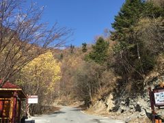 -叠溪松坪沟景区