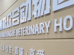 -德元·美联众合24小时动物医院(总院)