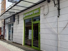 -油梨树AVOCADO TREE(顺义新国展店)