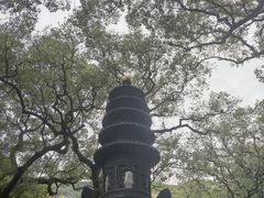 -普陀山风景区-佛顶山