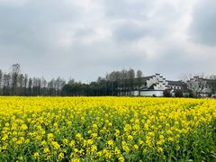 -宁波杭州湾国家湿地公园