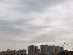 -昆山城市生态森林公园