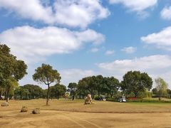 -旭宝高尔夫俱乐部