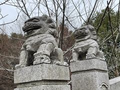 -同里国家湿地公园