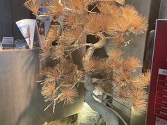 -百富源·海鲜辽菜(浑河堡店)