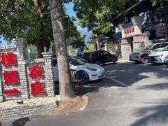 -桃姐农庄老字号(增城分店)