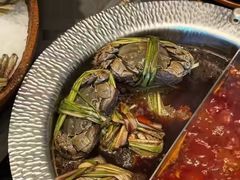 -牛YO寿喜烧和牛火锅自助(三台子万象汇店)
