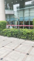 -厦门市妇幼保健院(总院区)