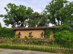 -杏花村文化旅游区