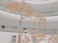 -上海宝龙美术馆