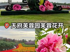 -天府芙蓉园