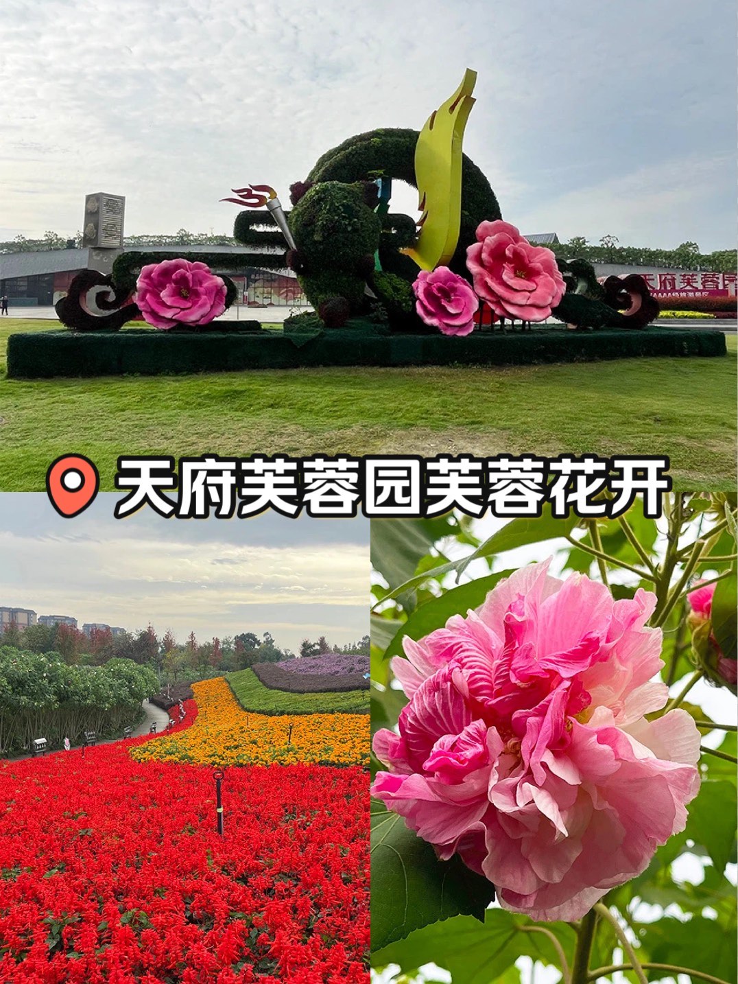 天府芙蓉园